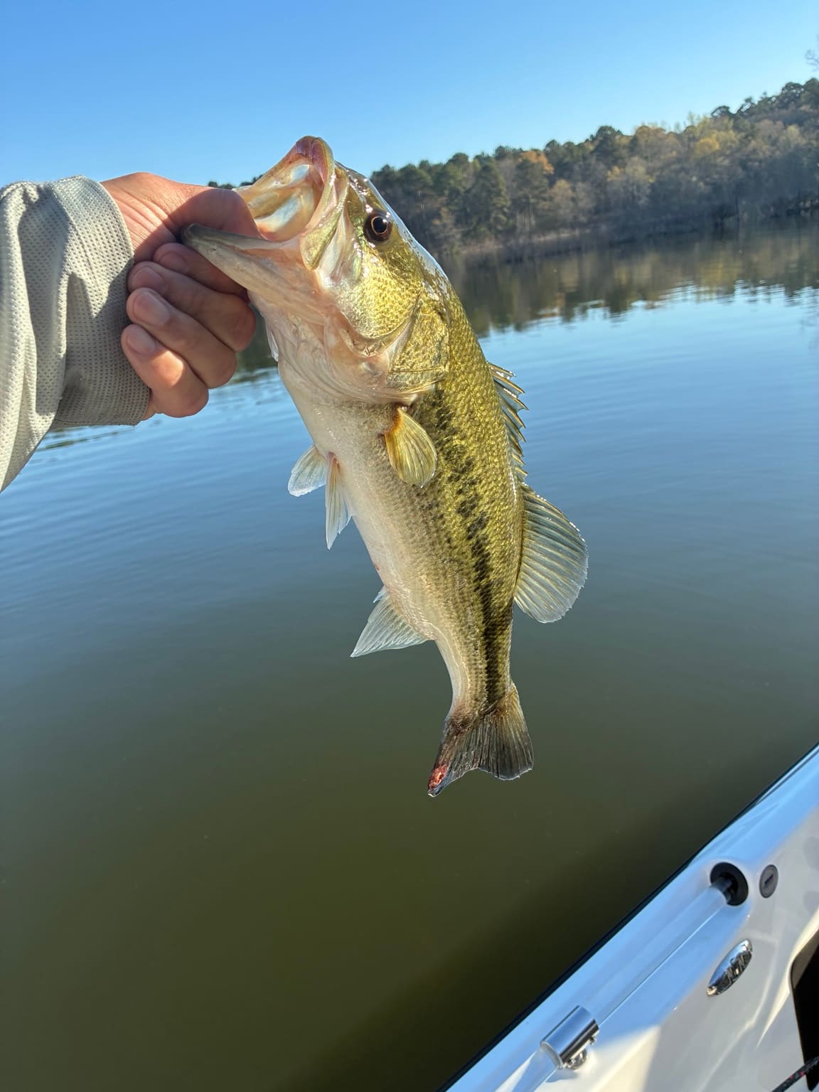 Angler lipping a largemouth bass boatside on an Arkansas lake